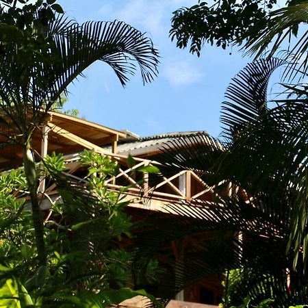 Eden Jungle Lodge Bocas Town Dış mekan fotoğraf