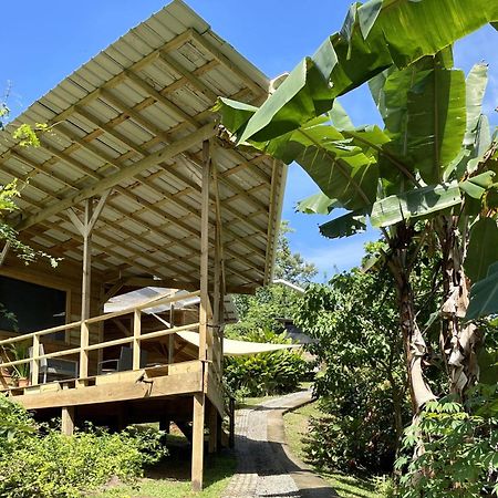 Eden Jungle Lodge Bocas Town Dış mekan fotoğraf