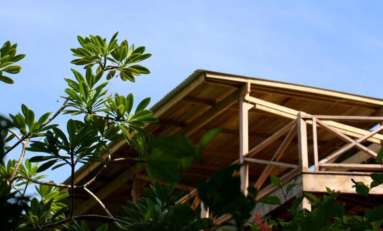 Eden Jungle Lodge Bocas Town Dış mekan fotoğraf