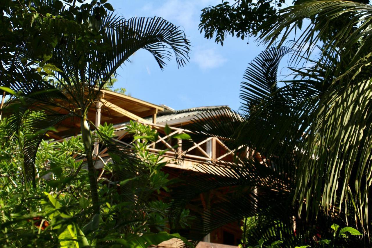 Eden Jungle Lodge Bocas Town Dış mekan fotoğraf