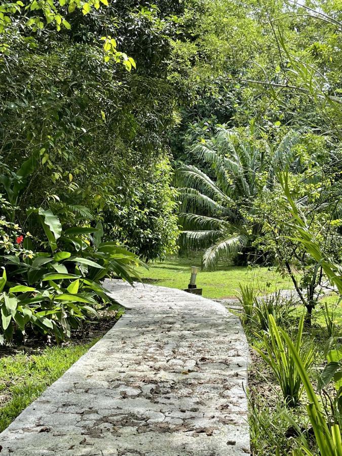 Eden Jungle Lodge Bocas Town Dış mekan fotoğraf