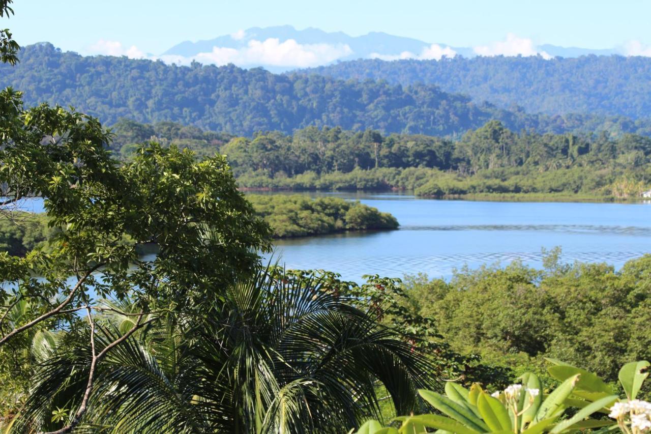Eden Jungle Lodge Bocas Town Dış mekan fotoğraf