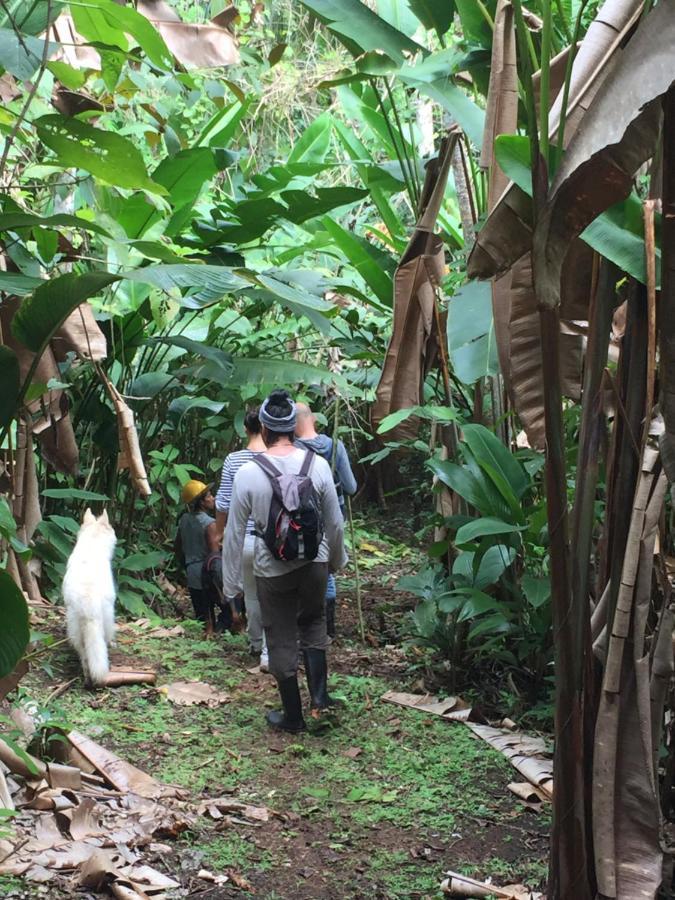 Eden Jungle Lodge Bocas Town Dış mekan fotoğraf