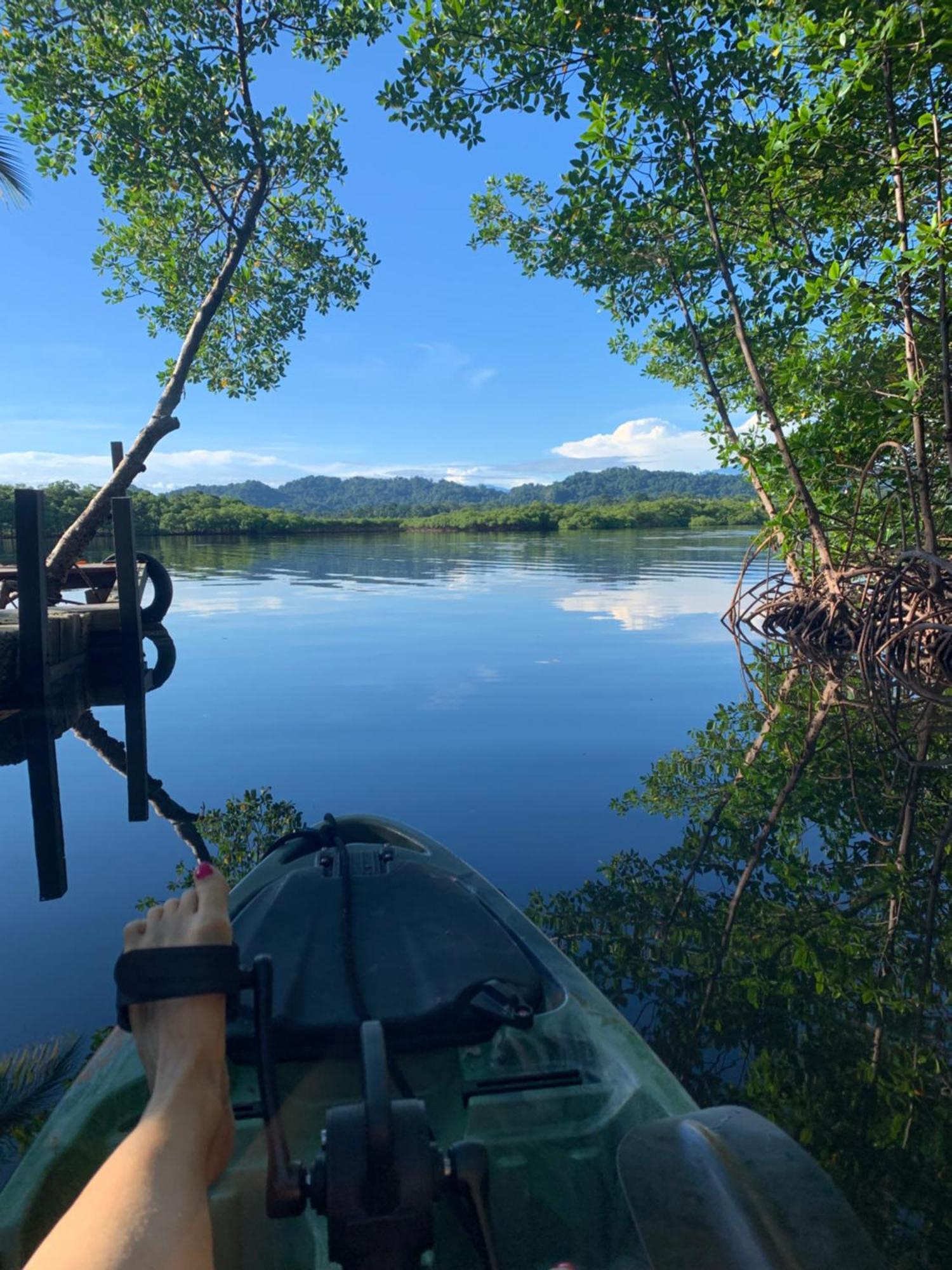 Eden Jungle Lodge Bocas Town Dış mekan fotoğraf