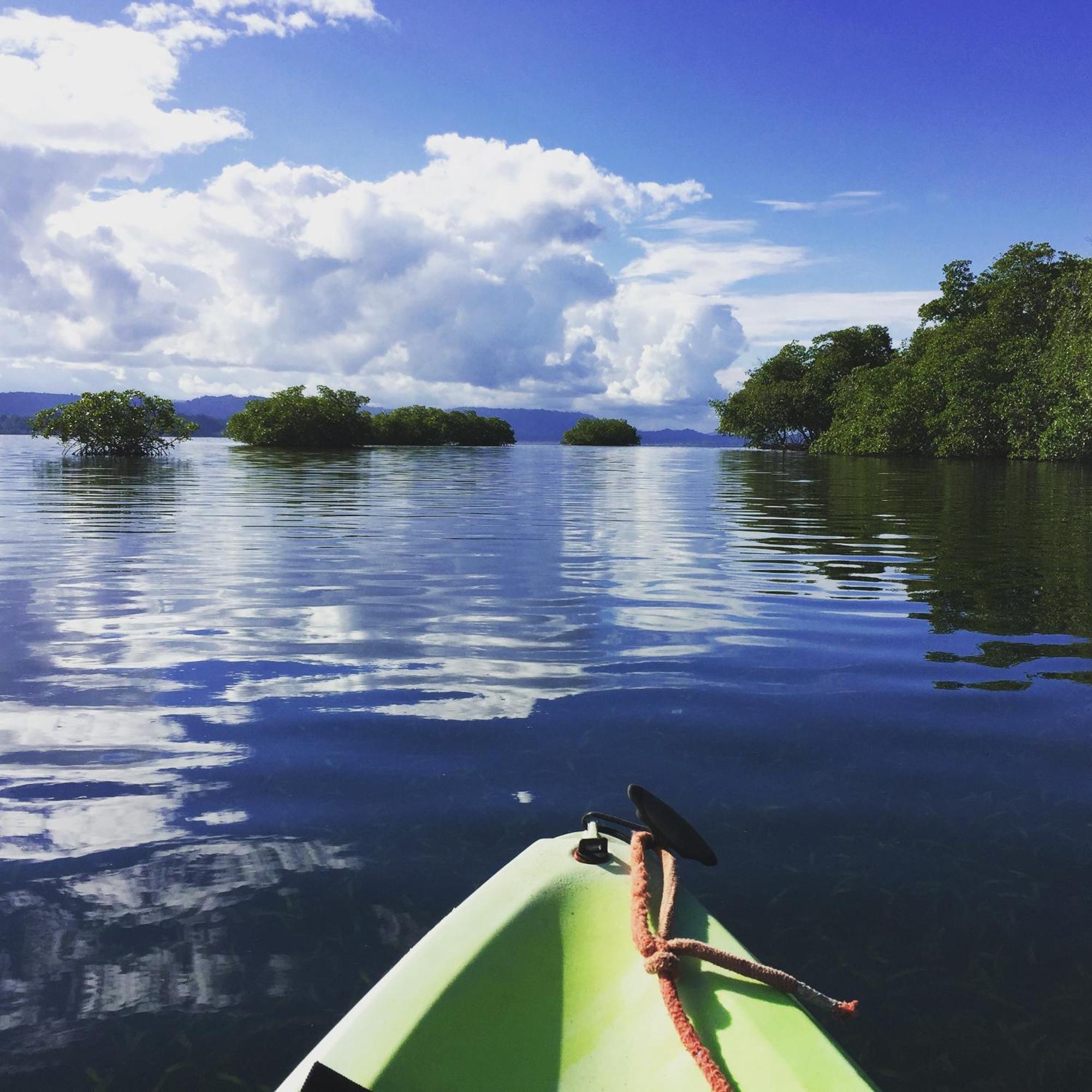 Eden Jungle Lodge Bocas Town Dış mekan fotoğraf