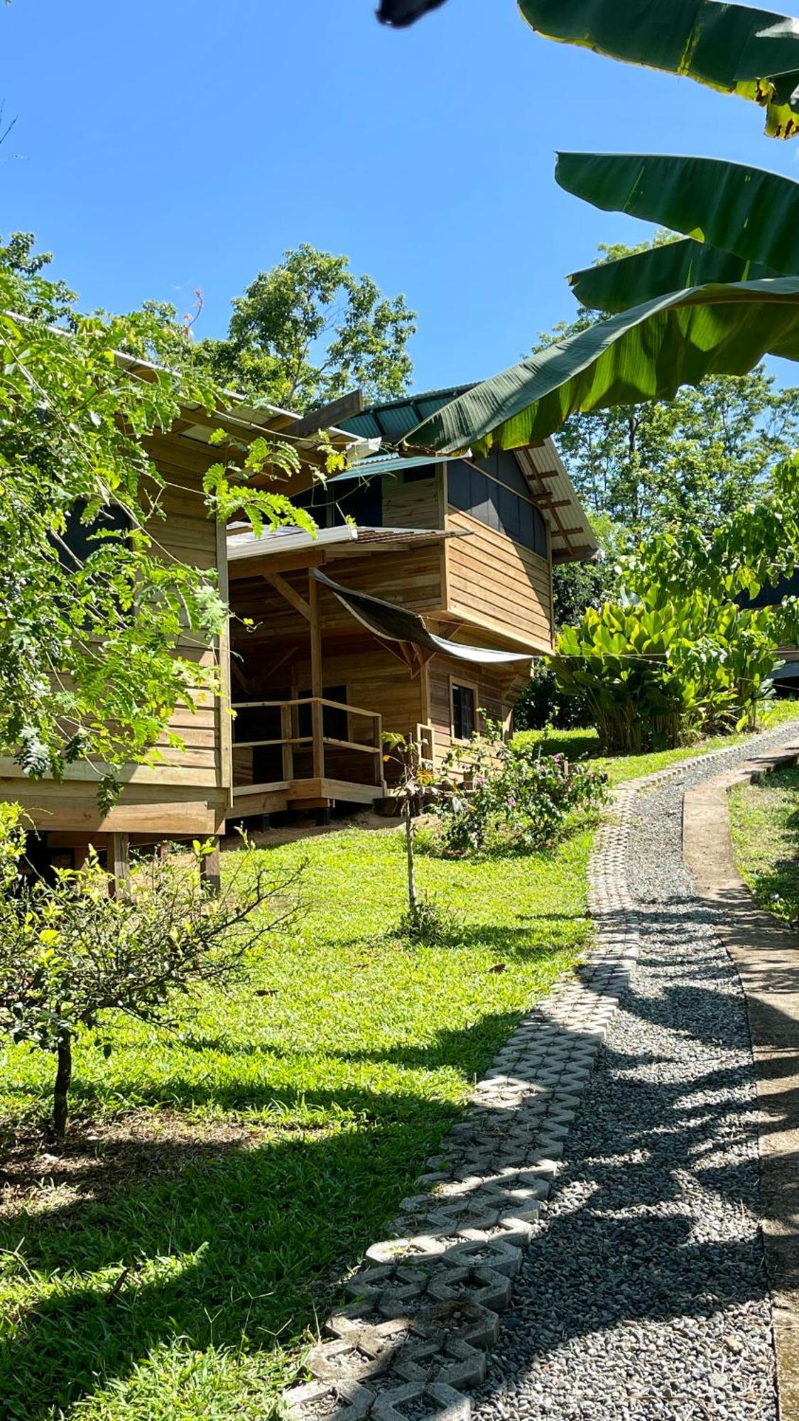 Eden Jungle Lodge Bocas Town Dış mekan fotoğraf