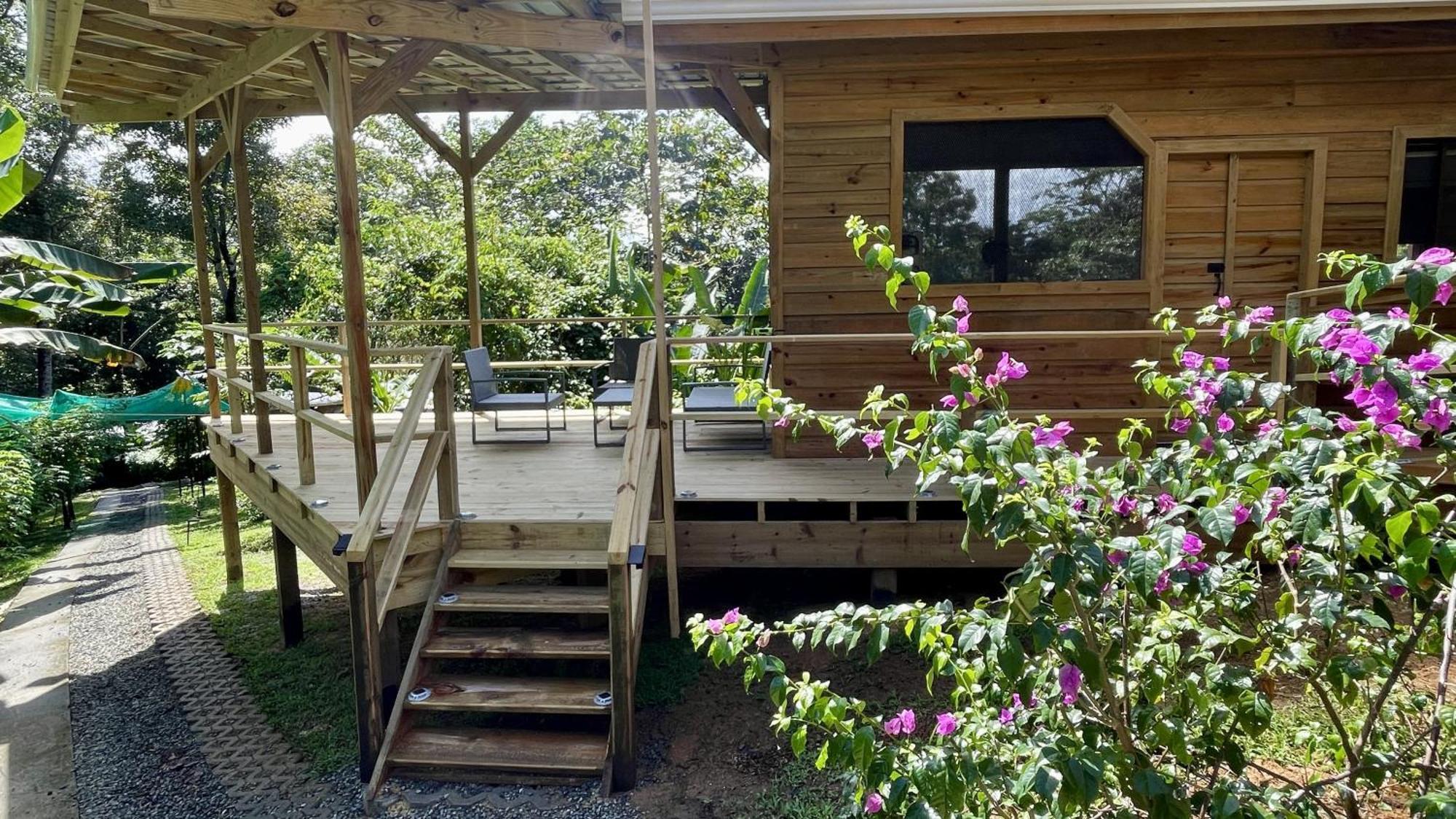 Eden Jungle Lodge Bocas Town Dış mekan fotoğraf