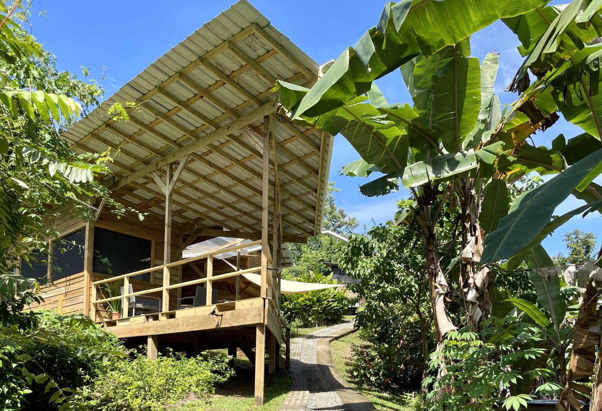 Eden Jungle Lodge Bocas Town Dış mekan fotoğraf
