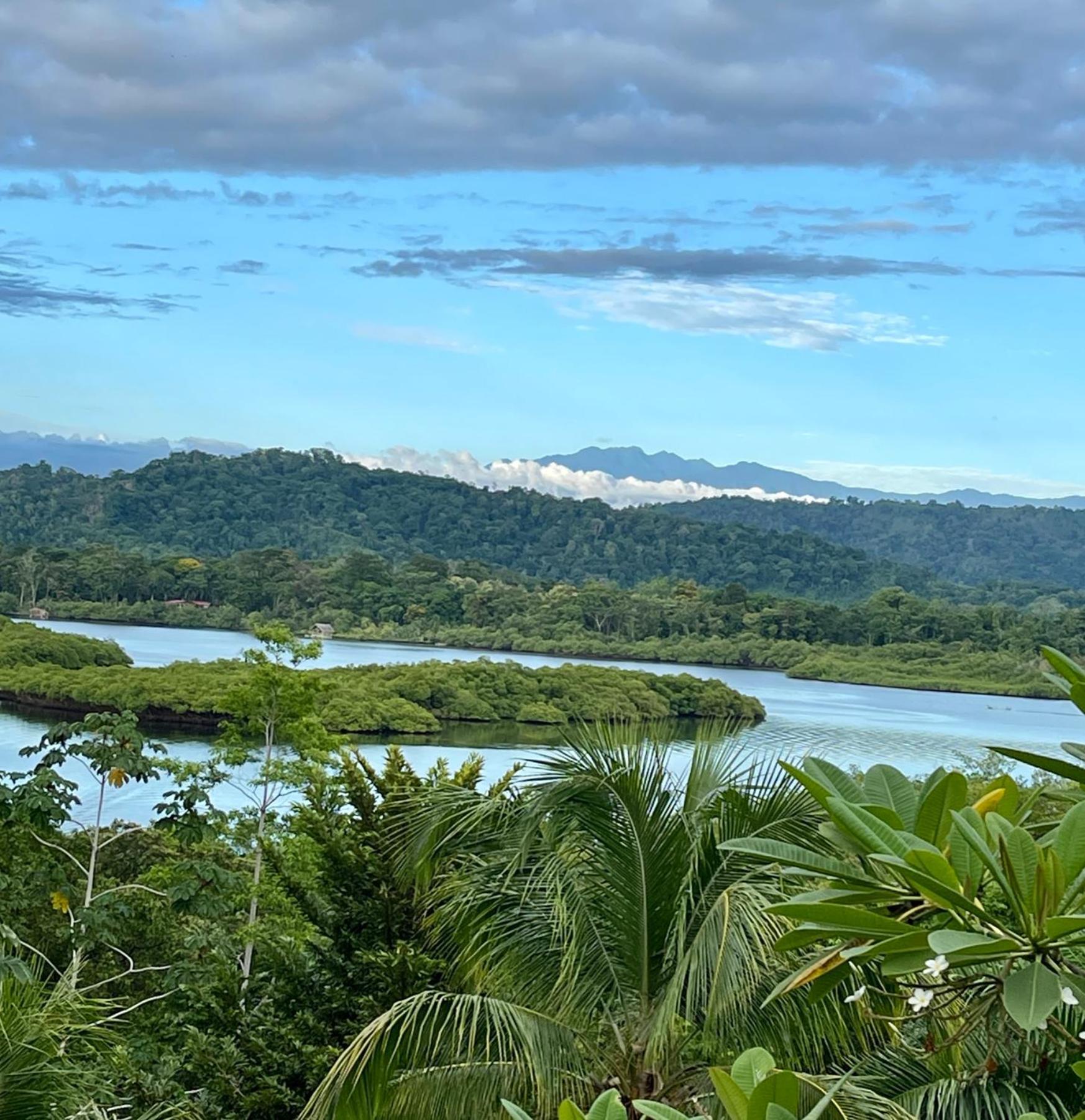 Eden Jungle Lodge Bocas Town Dış mekan fotoğraf